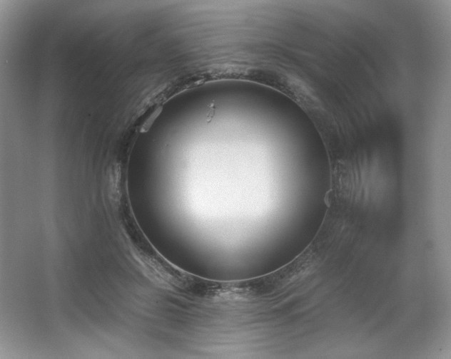 X0000067830550200604171129