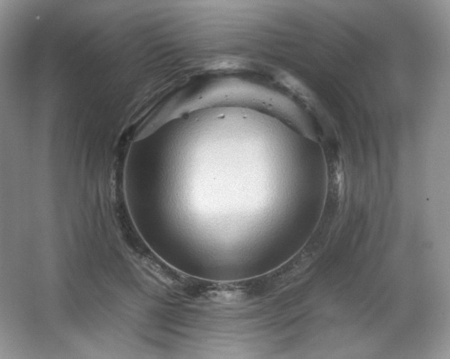 X0000067830552200604171130