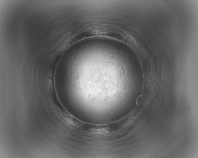 X0000067830553200604171130