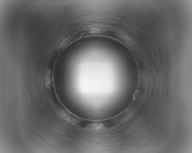 X0000067830554200604171130