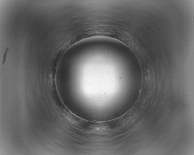 X0000067830555200604171130