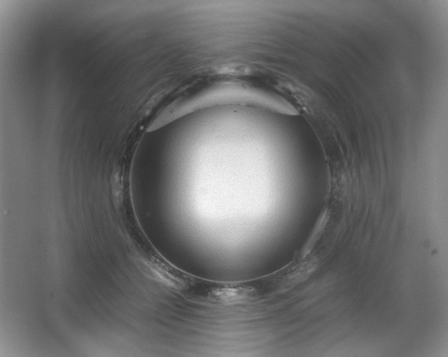 X0000067830558200604171130