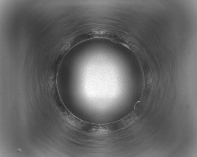 X0000067830559200604171130