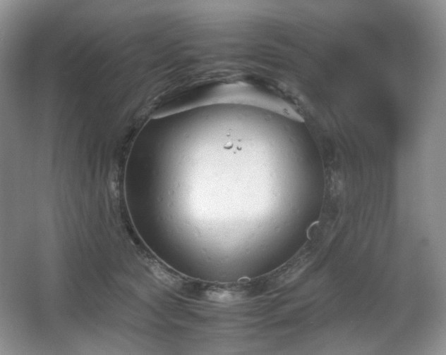 X0000067830561200604171130