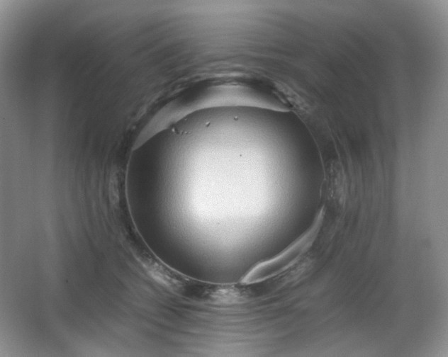 X0000067830562200604171130