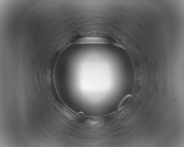 X0000067830563200604171130