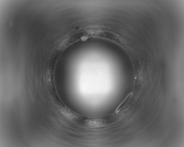 X0000067830567200604171130