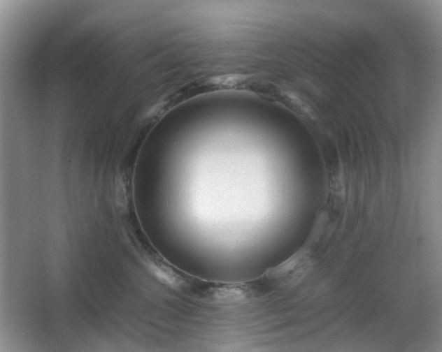 X0000067830572200604171130