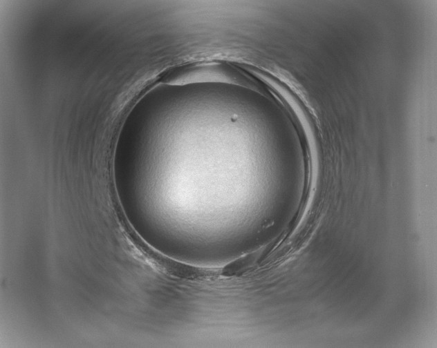 X0000067830577200604171129