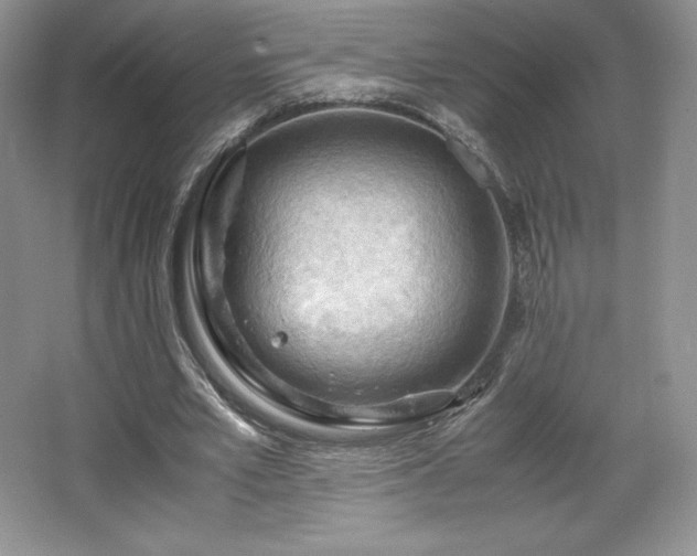 X0000067830581200604171129