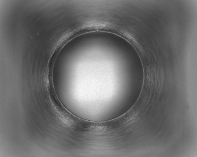 X0000067830582200604171129