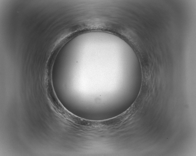 X0000067830583200604171129