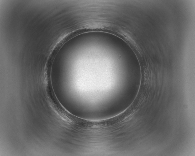 X0000067830584200604171129