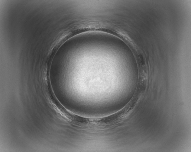 X0000067830585200604171129