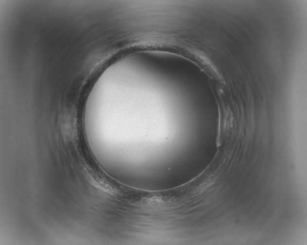 X0000067830588200604171129