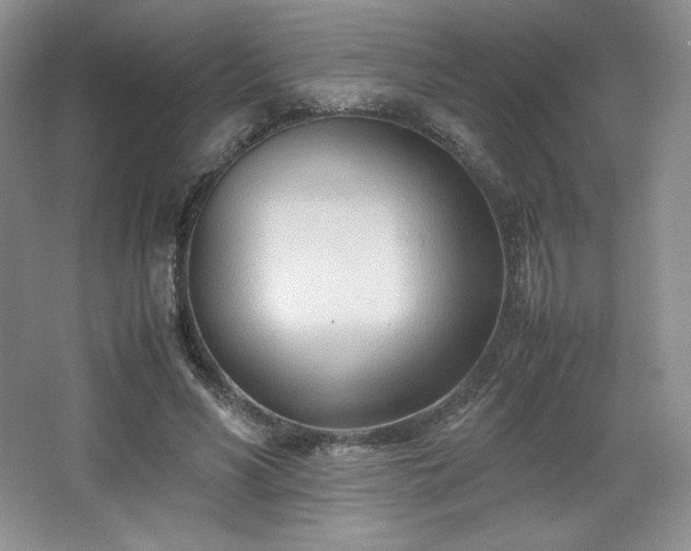 X0000067830590200604171129