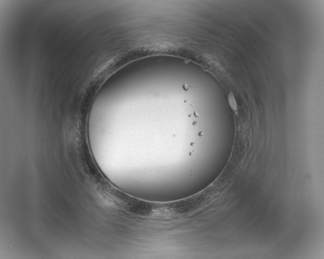 X0000067830591200604171129