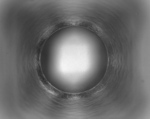 X0000067830594200604171129