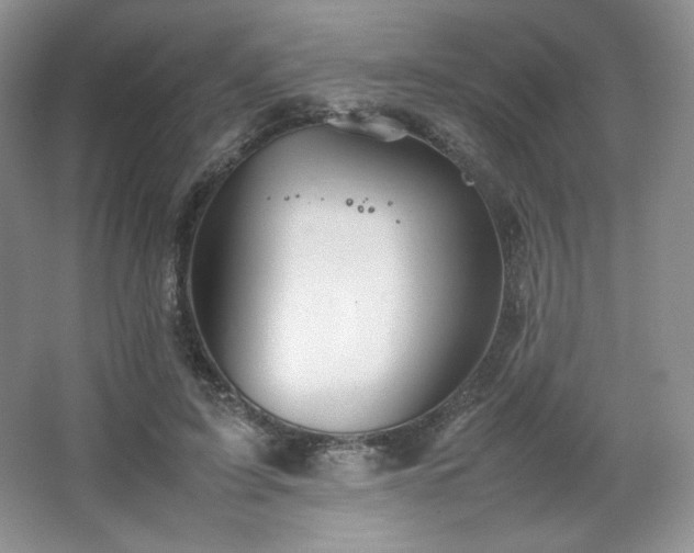 X0000067830595200604171129