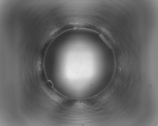 X0000067830596200604171129