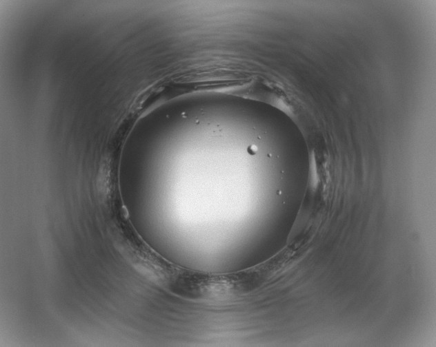 X0000067830600200604171129