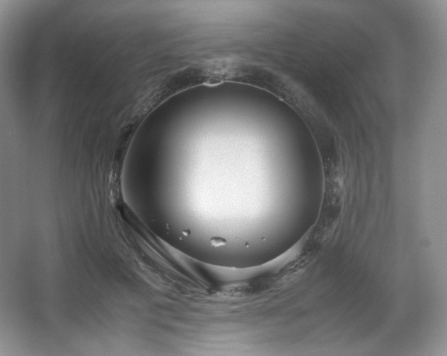 X0000067830601200604171129