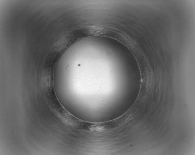 X0000067830602200604171129