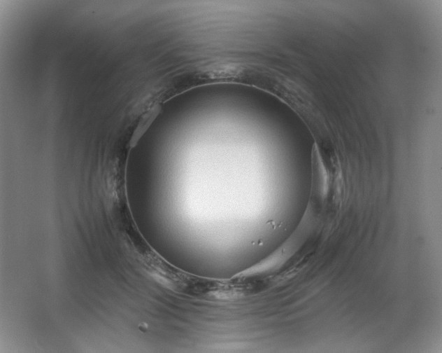 X0000067830604200604171129