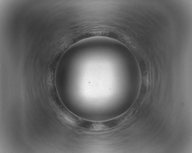 X0000067830605200604171129