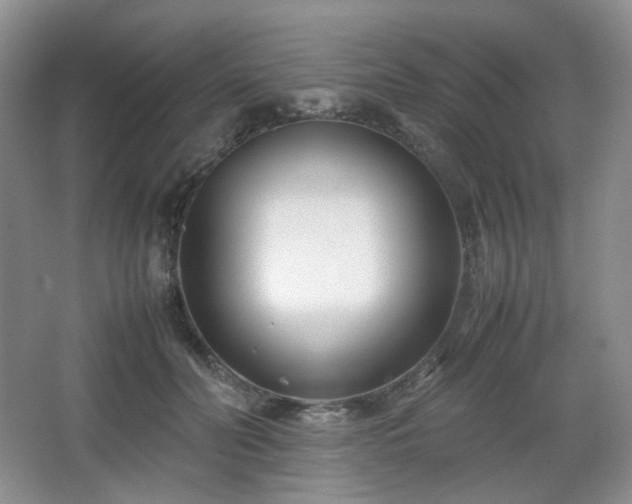 X0000067830606200604171129