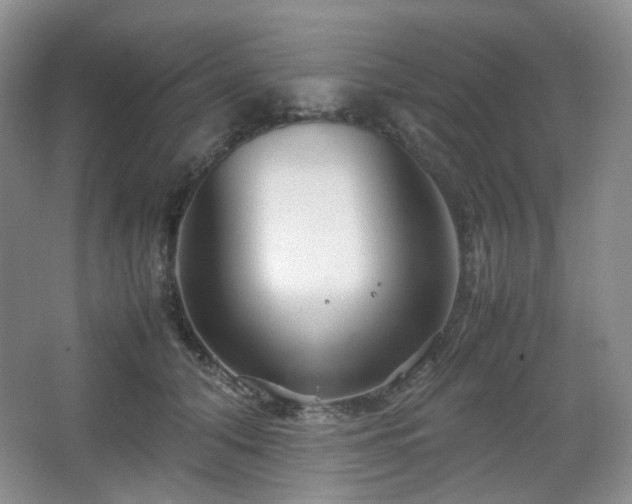 X0000067830608200604171129