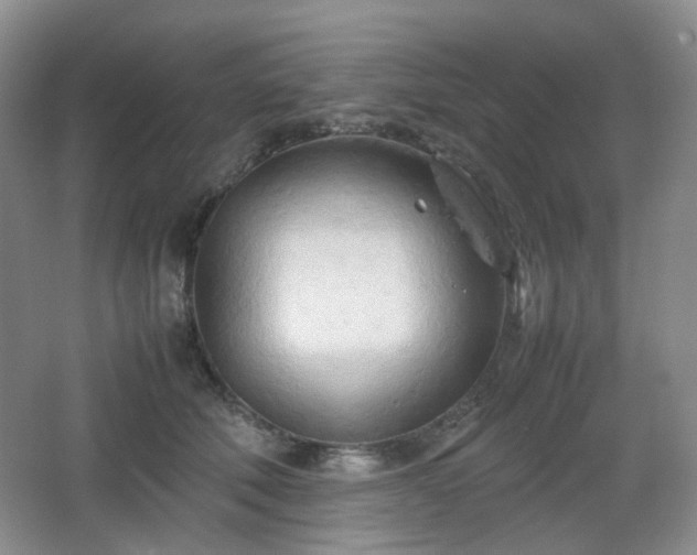 X0000067830610200604171129