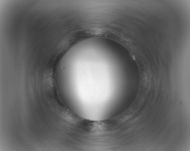 X0000067830612200604171129