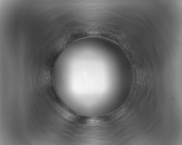 X0000067830614200604171128