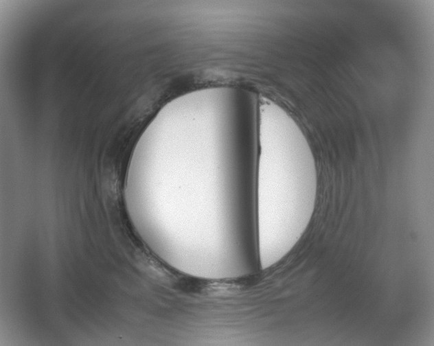 X0000067830617200604171128