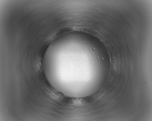 X0000067830618200604171128