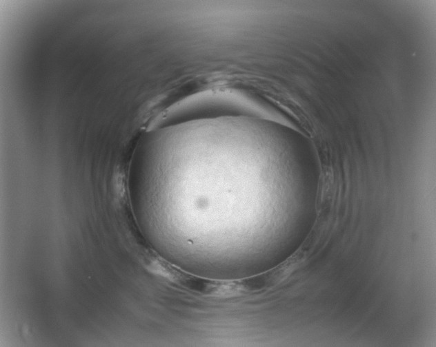 X0000067830621200604171128