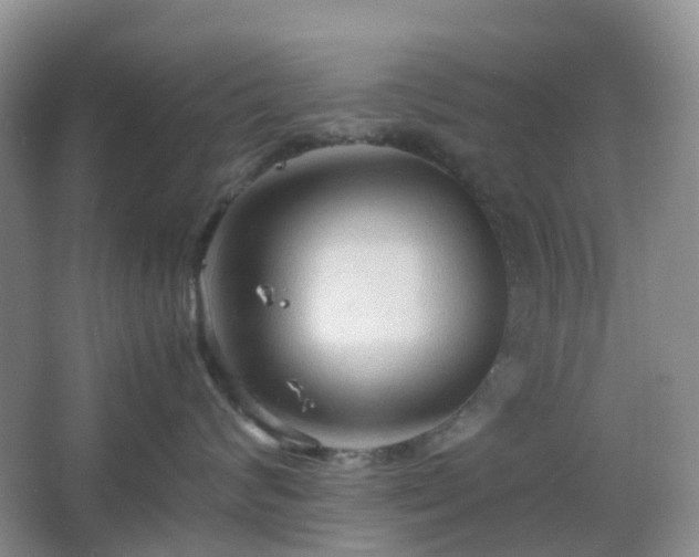 X0000067830624200604171128