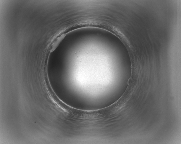 X0000067830625200604171128