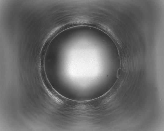 X0000067830629200604171128