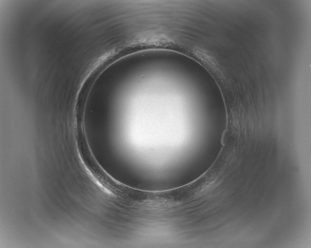 X0000067830630200604171128