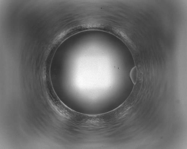 X0000067830631200604171128