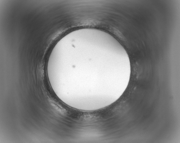 X0000067830632200604171128