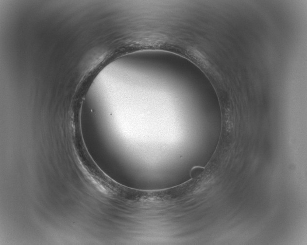 X0000067830634200604171128