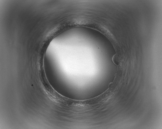 X0000067830635200604171128