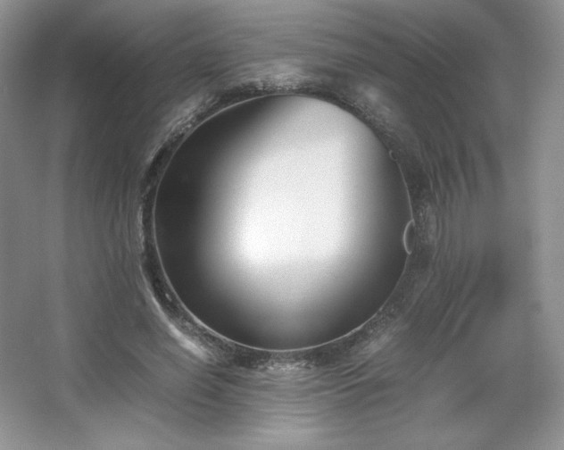 X0000067830638200604171128