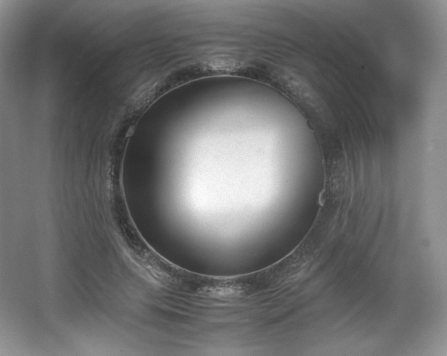 X0000067830639200604171128