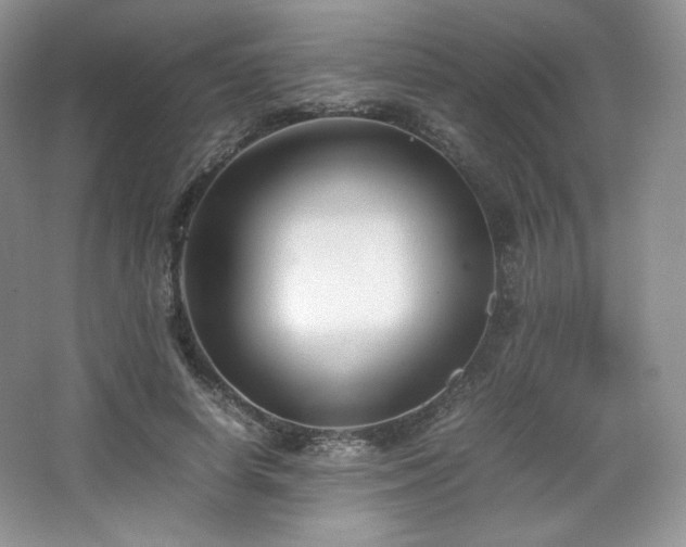 X0000067830642200604171128