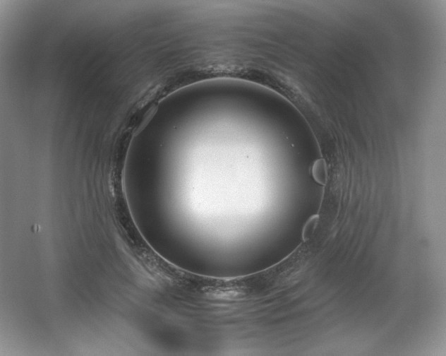 X0000067830643200604171128