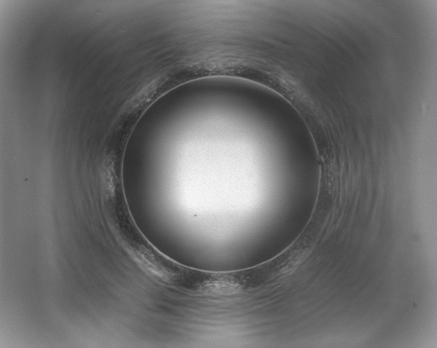 X0000067830644200604171128